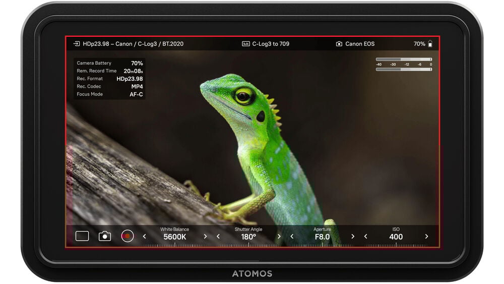 Atomos Shinobi 5 inch II Monitor camera status